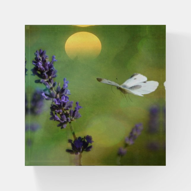 Dreamy Butterfly Garden Paperweight (Front)