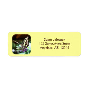 Dreamy Butterfly Insect Address Label