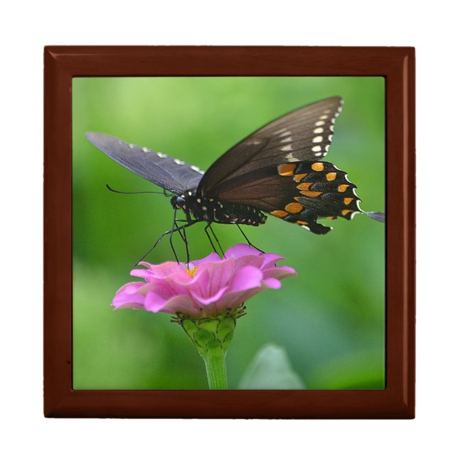 Dreamy Butterfly Jewelry Box (Front)