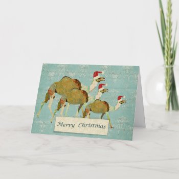 Dreamy Camels Christmas Card by NicoleKing at Zazzle