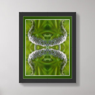 Dreamy Curling White Wild Flower Abstract Framed Art