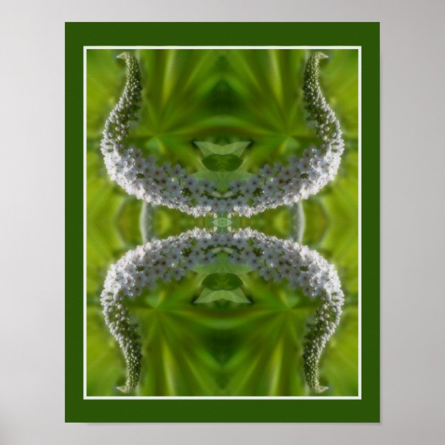 Dreamy Curling White Wild Flower Abstract Poster (Front)