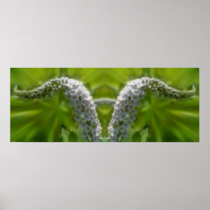 Dreamy Curling White Wildflower Mirror Abstract Poster