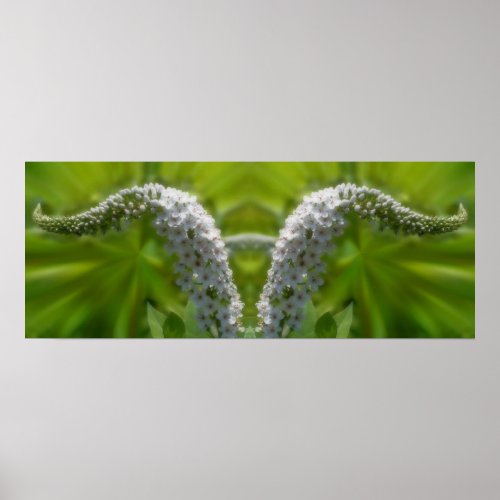 Dreamy Curling White Wildflower Mirror Abstract  Poster