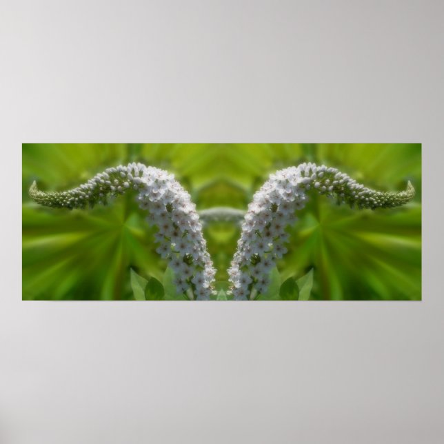 Dreamy Curling White Wildflower Mirror Abstract  Poster (Front)