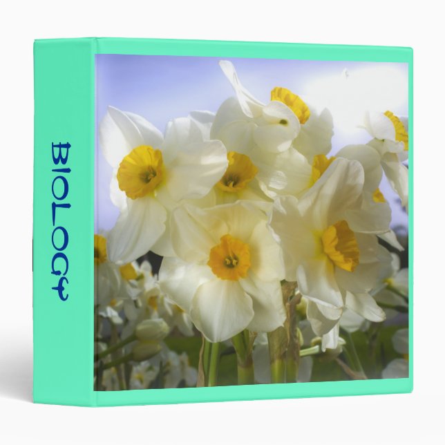 Dreamy Daffodils in the Sun 3 Ring Binder (Front/Spine)
