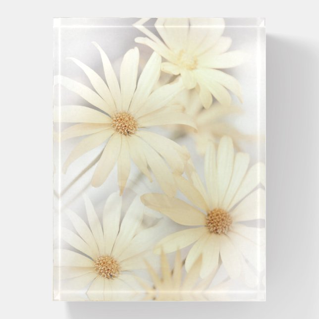 Dreamy Daisies 2 Paperweight (Vertical)