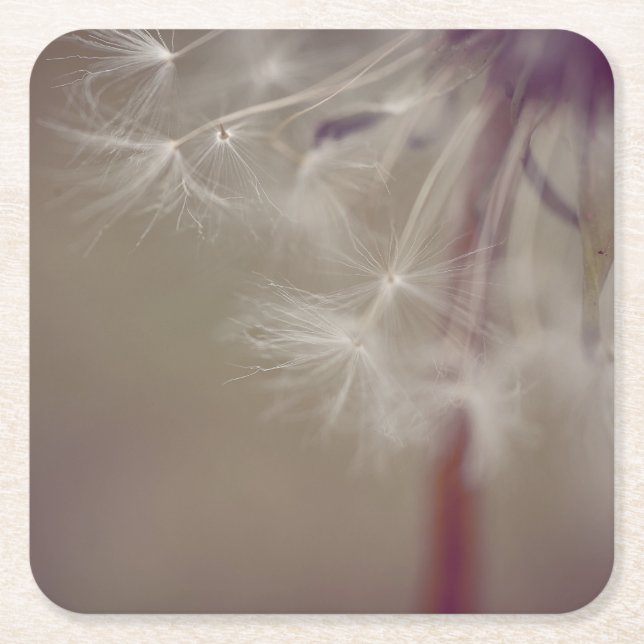 Dreamy Dandelion Art Paper Coaster 02 (Front)
