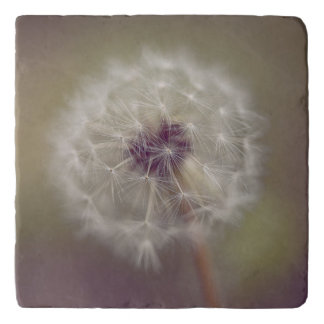 Dreamy Dandelion Art Trivet 01