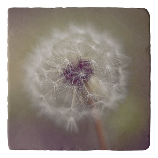 Dreamy Dandelion Art Trivet 01 (Front)