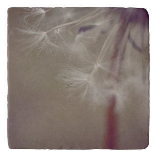 Dreamy Dandelion Art Trivet 02 Trivet