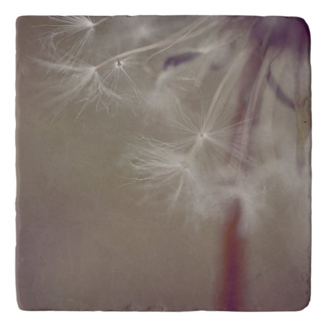 Dreamy Dandelion Art Trivet 02 Trivet (Front)