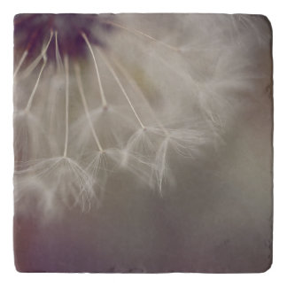 Dreamy Dandelion Art Trivet 03