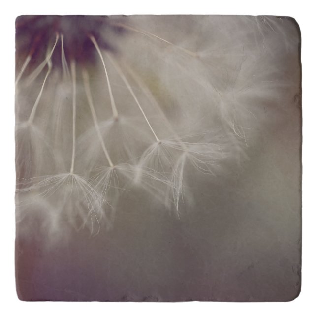 Dreamy Dandelion Art Trivet 03 (Front)