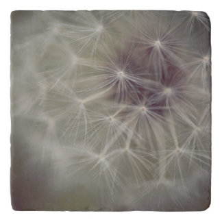 Dreamy Dandelion Art Trivet 04