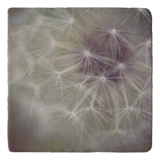 Dreamy Dandelion Art Trivet 04 (Front)