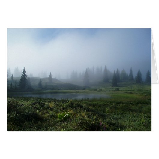 Dreamy Day Cards (Front Horizontal)