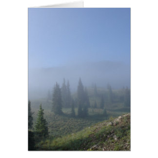 Dreamy Days Cards