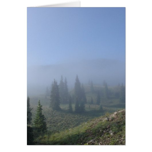 Dreamy Days Cards (Front)