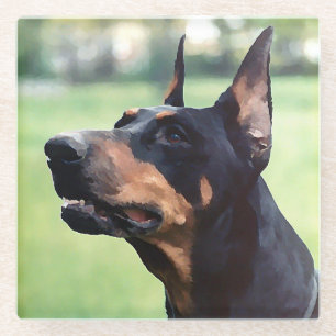 Dreamy Doberman Pinscher Face Painting Glass Coaster