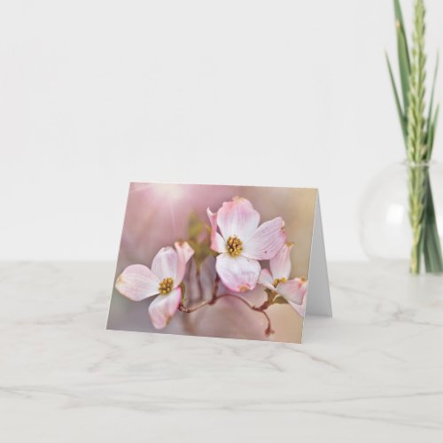 Dreamy Dogwood Blossoms All Occasion Note Cards