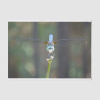 Dreamy Dragonfly tissue paper