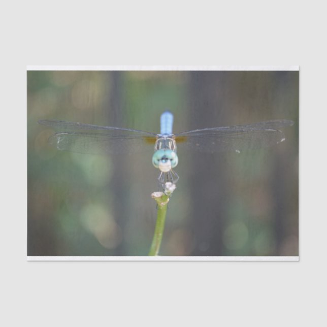 Dreamy Dragonfly tissue paper (Front)