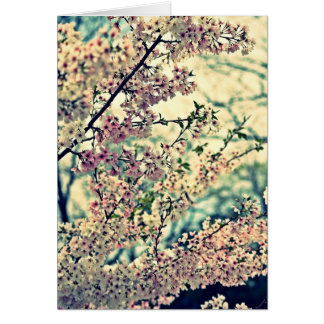 Dreamy Explosion (Blank Inside) Cards