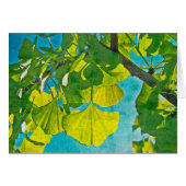 Dreamy Fans (Front Horizontal)