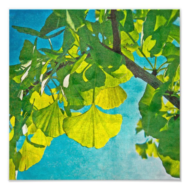 Dreamy Fans Photo Print (Front)