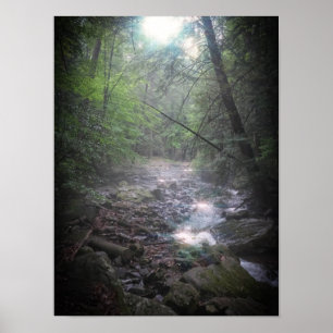 Dreamy Forest Light Poster