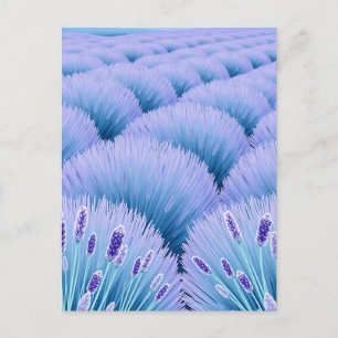 Dreamy Lavender Fields Aesthetic Purple Blue Postcard