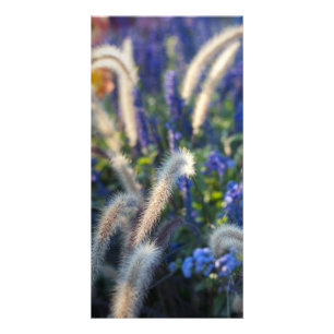 Dreamy Meadow Florals Card