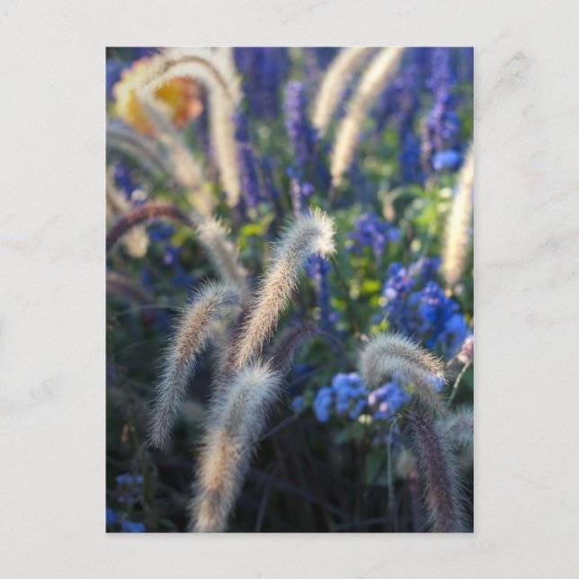 Dreamy Meadow Florals Postcard (Front)