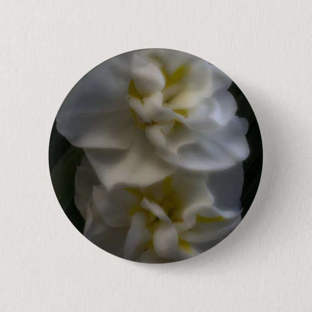 Dreamy Narcissus Daffodils Button (Front)