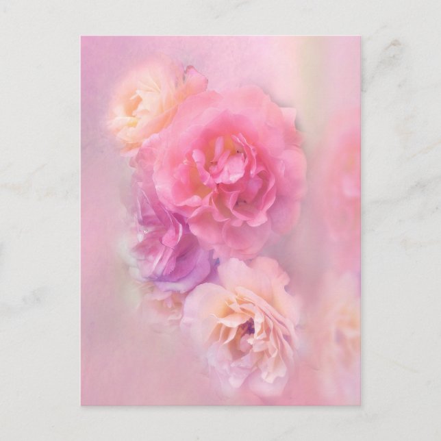 Dreamy Pastel Roses  Postcard (Front)