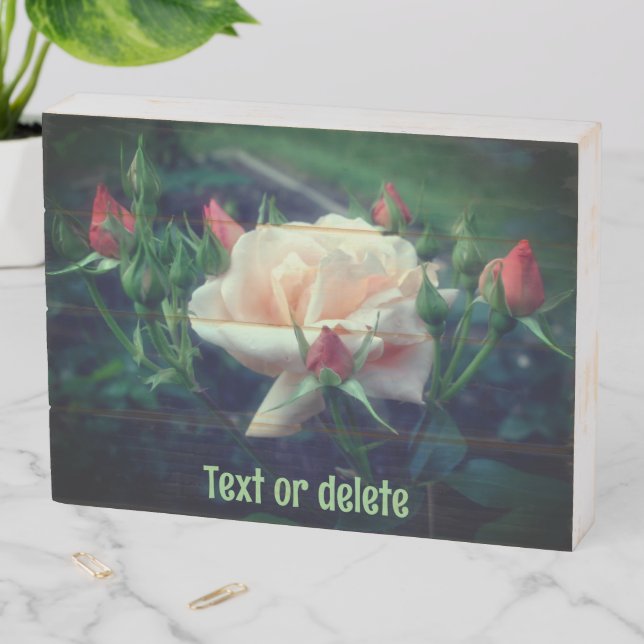 Dreamy Peach Rose And Buds Personalized Wooden Box Sign (In Situ Horizontal)