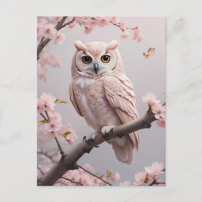 Dreamy Pink Cherry Blossoms Owl Postcard (Front)