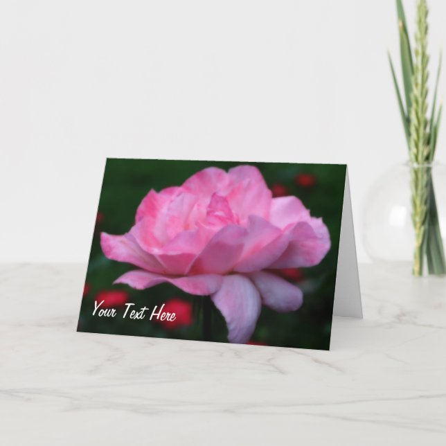 Dreamy Pink Rose Flower Photo Card (Front)