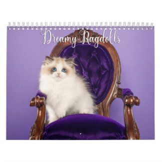 Dreamy Ragdoll Cats and Kittens Calendar