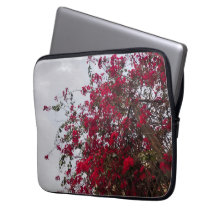 Dreamy Red Bougainvillea Floral Nature Photography