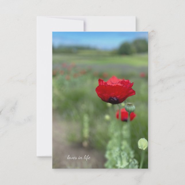 Dreamy Red Poppy Note Card (Front)