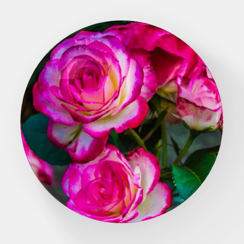 Dreamy Rose Garden Paperweight