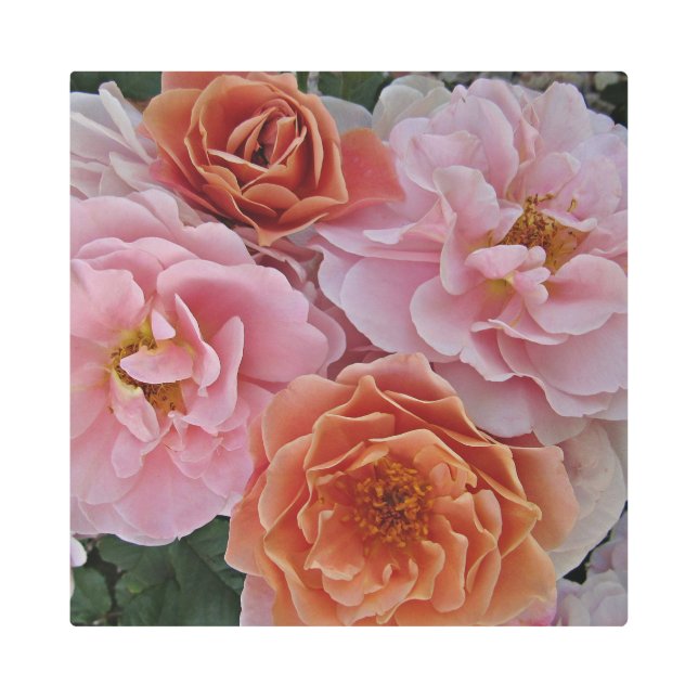 Dreamy Roses Metal Print Wall Art (Front)