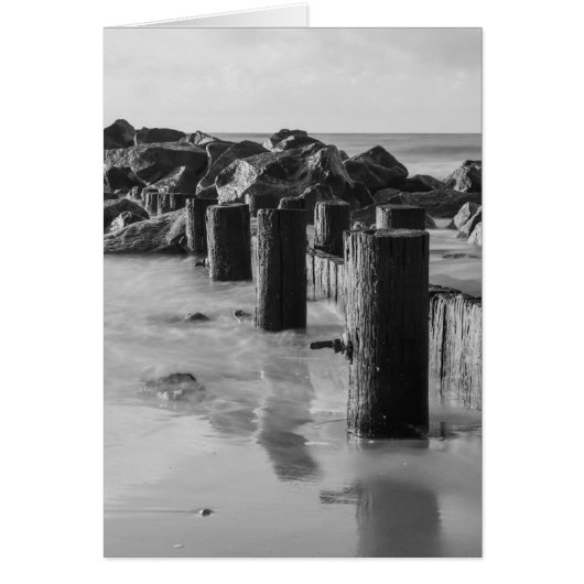 Dreamy Seawall Grayscale Cards (Front)