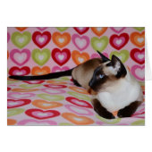 Dreamy Siamese Cat Hearts (Front Horizontal)
