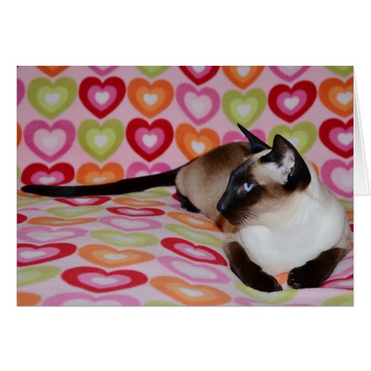 Dreamy Siamese Cat Hearts Cards (Front Horizontal)