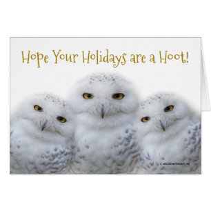 Dreamy Snowy Owls Christmas Family Have a Hoot Cards