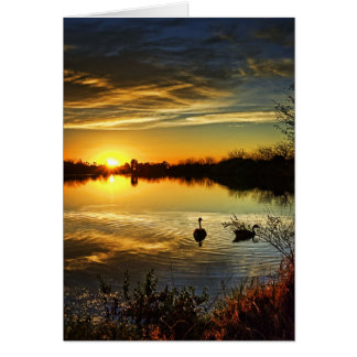Dreamy Sunset Cards
