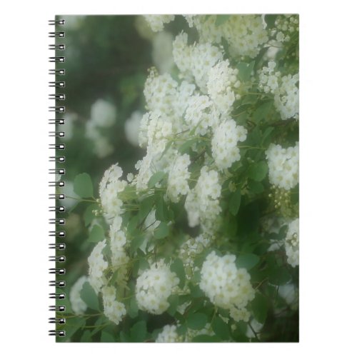 Dreamy Wild White Roses Flower Nature Notebook